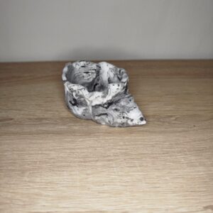 Κοχύλι από πορσελάνη