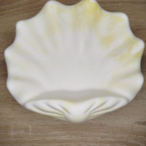 Πορσελάνινο κοχύλι μεγάλο